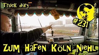 Zum Hafen Köln Niehl  Truck diary  ExpoTrans  Lkw Doku 231 [upl. by Seniag]