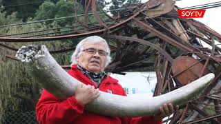 Osorno inyectarán 200 millones en excavación paleontológica de Pilauco [upl. by Vokaay643]