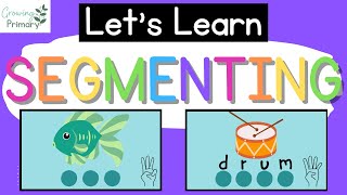 Lets Learn SEGMENTING WORDS Phonemic Awareness [upl. by Nitnert370]