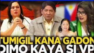 LARRY GADON ININSULTO VP SARA BOTANTE MINDANAO VISAYAS [upl. by Aicsila]