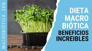 NUTRICIÓN Macrobiótica🌱 5 BENEFICIOS Para Vida HOLÍSTICA [upl. by Aleen361]