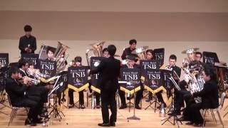 quotBrassed Off Fantasyquot  Brass Band TSB [upl. by Nylirrehs202]