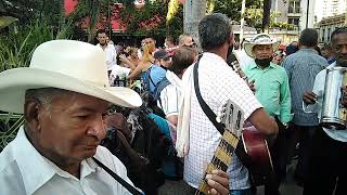 Música Parrandera en el parque berrio [upl. by Ycam671]