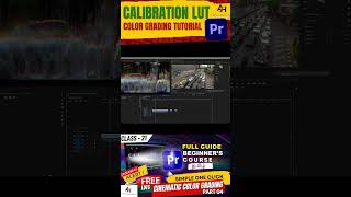 Master Calibration LUTs in Premiere Pro in 60 Seconds 🎨✨ [upl. by Otrebor]