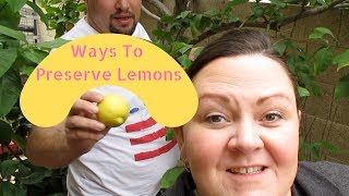 Lemon picking time in Arizona All the ways I am preserving lemons [upl. by Debbi938]