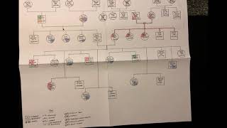 Genogram Presentation [upl. by Mccallion]