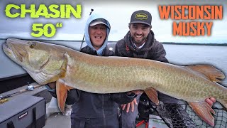 Early Fall Big Musky Fishing  Chasin 50 Series [upl. by Enomas]