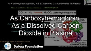 As Carboxyhemoglobin As a Dissolved Carbon Dioxide in Plasma Biology Lecture  Sabaqpk [upl. by Tarra]