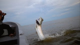 Tarpon Fly Fishing Costa Rica September 2017 [upl. by Amie]