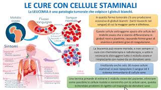 LE CURE CON CELLULE STAMINALI [upl. by Tutto]