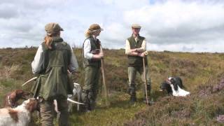 Shooting walkedup grouse [upl. by Hodges]