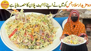 Diet Salad Recipe for Everyone  Meri Diet Salad Recipe  Healthy Salad Recipe  Village Handi Roti [upl. by Hoffman]