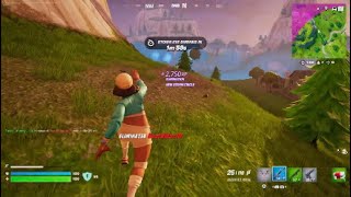 Fortnite Toxic behavior [upl. by Webster]