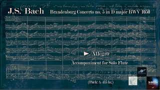 Brandenburg Concerto with Accompaniment for Solo Flute No 5 in D major BWV 1050 I Allegro [upl. by Blunk419]