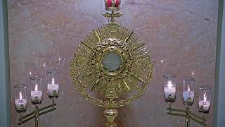 Adorecast – 247 Live Eucharistic Adoration [upl. by Bierman]