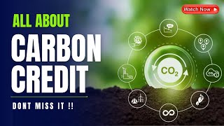 All You Know About Carbon Credits  Carbon Credits  Solar Energy [upl. by Nagah745]