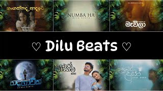 listen to DILU Beats Best Sinhala Songs Collection තනියම ඉන්න වෙලාවට අහන්න හොඳම සිංදු එකතුව 2024 New [upl. by Zacek]