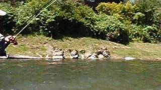 Kalama River WashingtonSummer Steelhead All Eyes on Me [upl. by Nofets]