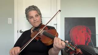 Day 167  The Parry Sound Reel  Patti Kusturok’s 366 Days of Fiddle Tunes [upl. by Durnan]