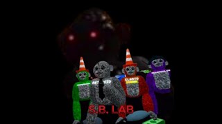 The Scary Baboon Lab OFFICAL TRAILER VIDEO [upl. by Ulani692]