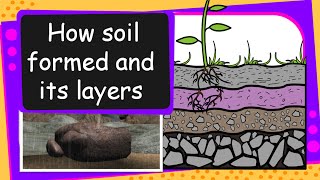 Science  Soil Formation and soil layers  English [upl. by Rocray807]