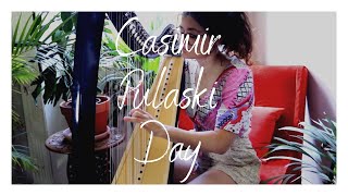 Casimir Pulaski Day  Sufjan Stevens  Harp Cover  Sam MacAdam [upl. by Marys]