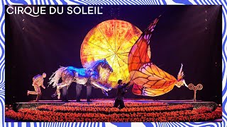 Cirque du Soleil  Official Trailer [upl. by Allanson]