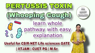 PERTUSSIS TOXIN Signaling Pathway  MSc Classes  Cell Biology CSIRNET LIFE SCIENCES GATE [upl. by Perretta]