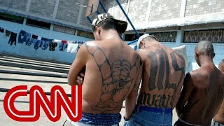 MS13 gang members Trump makes us stronger [upl. by Jack958]