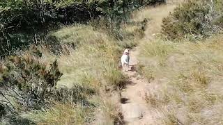 GORZENTE  walking with the river guide [upl. by Iv]