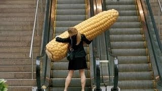 Funniest Escalator Fails February 2013 [upl. by Kolnick]