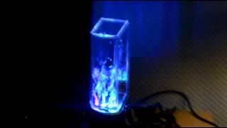 Review WaterSpeaker von Ednet Waterbeats [upl. by Lledyl]