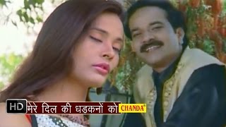 Mere Dil Ki Dhadkano Ko  मेरे दिल की धड़कनों को  Mohd Niyaz  Hindi Love Songs Hindi [upl. by Louise]