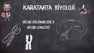 Hücre Bölünmeleri 3Hücre Döngüsü [upl. by Bahe]