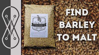 How To Find Raw Barley So You Can Malt Your Own [upl. by Pickard]