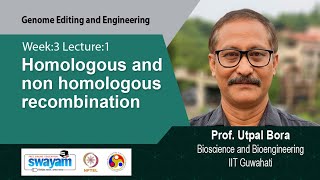 Lec 6 Homologous and non homologous recombination [upl. by Uela]