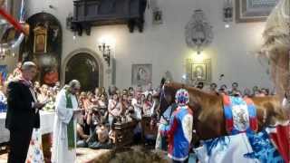 Siena Palio Agosto 2012 Pantera benedizione del cavallo [upl. by Beitz]