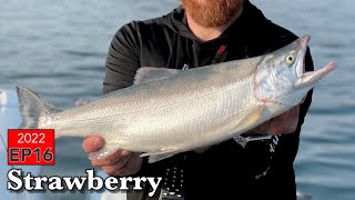 THE HUNT FOR 20 IN KOKANEE  EP16 2022 Kokanee Tour of Utah  Strawberry Reservoir [upl. by Bow]