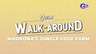 Farm To Table Take a walk around the Madronas Jungle Edge Farm  Online Exclusive [upl. by Mor67]