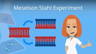 Meselson and Stahl Experiment  Models of DNA Replication  Lecture 5 [upl. by Ingunna]