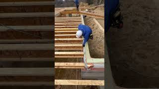 Floor joists shorts work construction design skills carpenter perfect team beauty [upl. by Leiva]