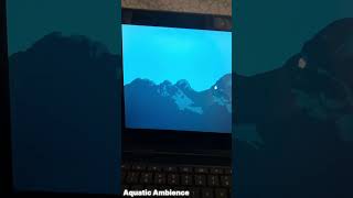 Arch Linux on Chromebook linux archlinux google chromebook chrome hyprland computer distro [upl. by Minsk390]