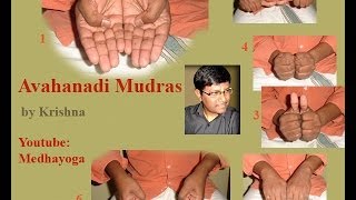 Sri Vidya Avahanadi Mudras By Krishna [upl. by Afirahs904]