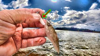 If You Like To Eat Catfish  A Simple Way To Catch Them With Jigs [upl. by Femi806]