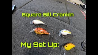 My Set Up I for SQUARE BILL Crankbait Fishing I Rod Reel Line Baits amp WHY [upl. by Anairad]