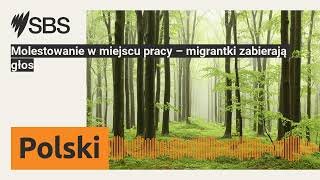 Molestowanie w miejscu pracy – migrantki zabierają głos  SBS Polish  SBS po polsku [upl. by Adas]