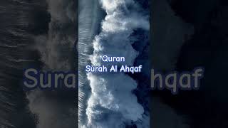 Jannatul Firdaus quranurdutranslation surahahqaf islamicvideo trending shorts viral trending [upl. by Caasi447]