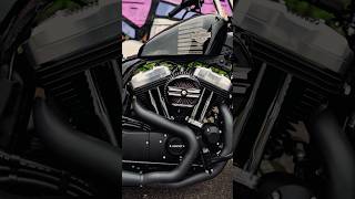 POV Forty Eight 2017 fortyeight sportster harleydavidson [upl. by Asseram878]