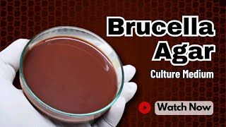 Brucella Agar Composition Principle Uses and Limitations  Microbial Identification Techniques [upl. by Gamal439]