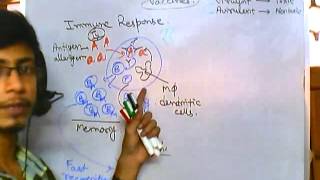 Vaccines part 1  what is vaccination [upl. by Iahcedrom]